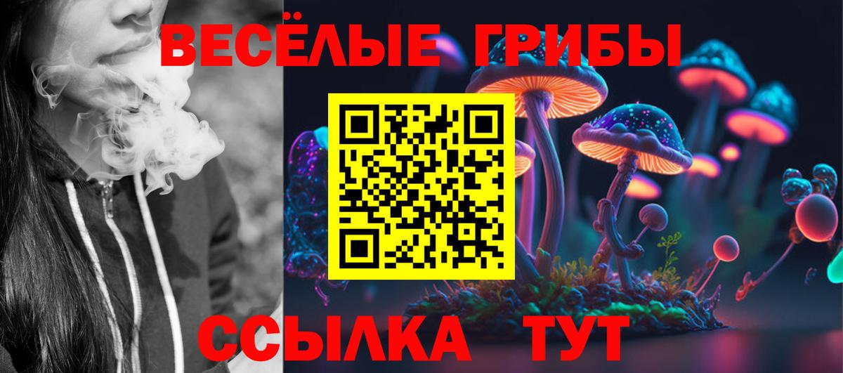 как найти закладки  Вход с VPN  Дзержинск  Галлюциногенные грибы GOLDEN TEACHER 