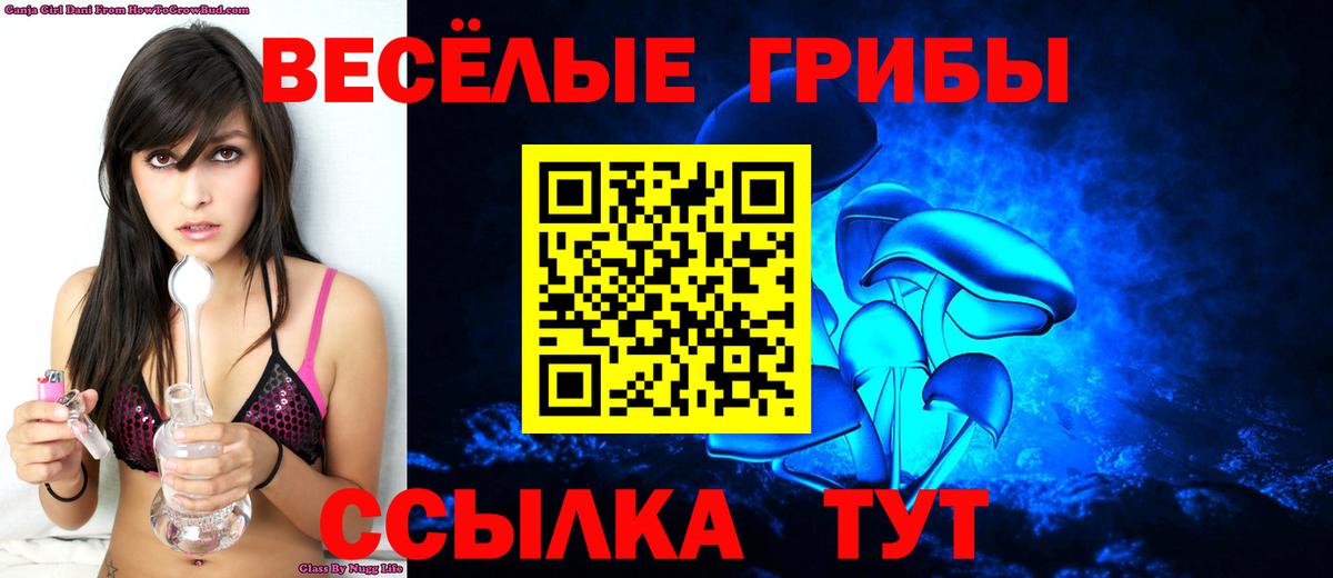 Псилоцибиновые грибы Cubensis Дзержинск